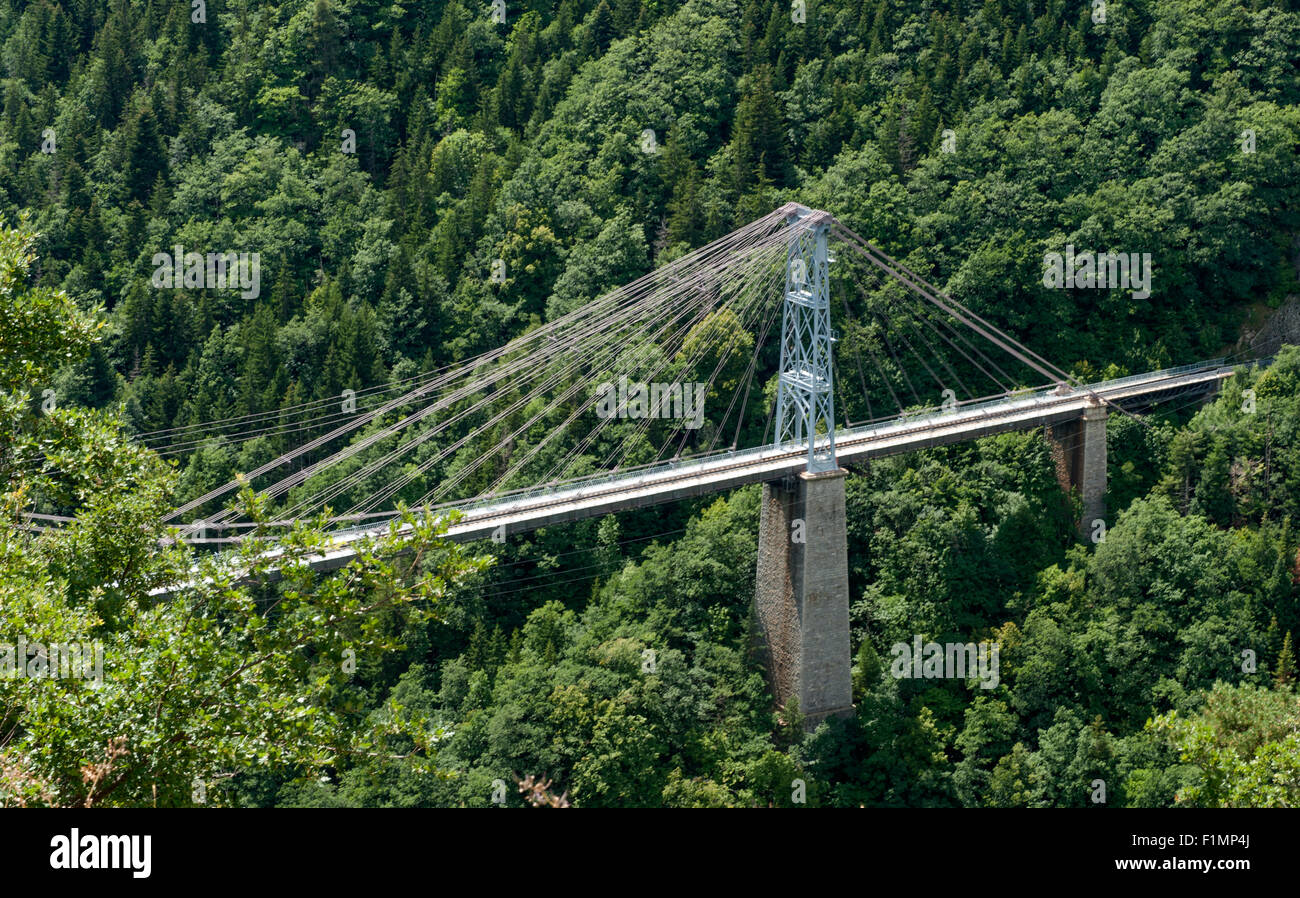 Die ungewöhnliche Schiene Hängebrücke Zug Jaune (Ligne de Cerdagne) am Pont Gisclard zwischen Sauto und Planès, Frankreich Stockfoto