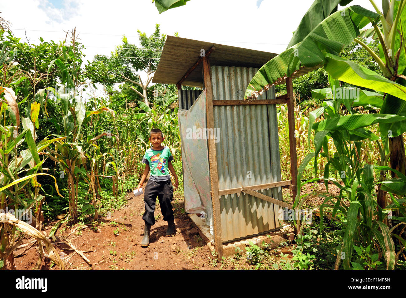 Guatemala, Los Achiotes, junge gonna Latrinen zwischen Plantage (Osei Edvin Estrada Lopez 8 Jahre) Stockfoto