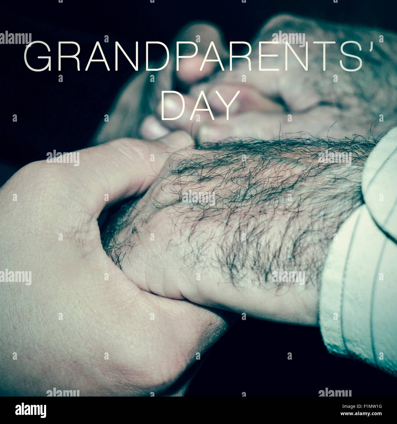 Nahaufnahme von den Händen eines jungen Mannes Hand in Hand ein Alter Mann, und der Text-Großeltern-Tag Stockfoto