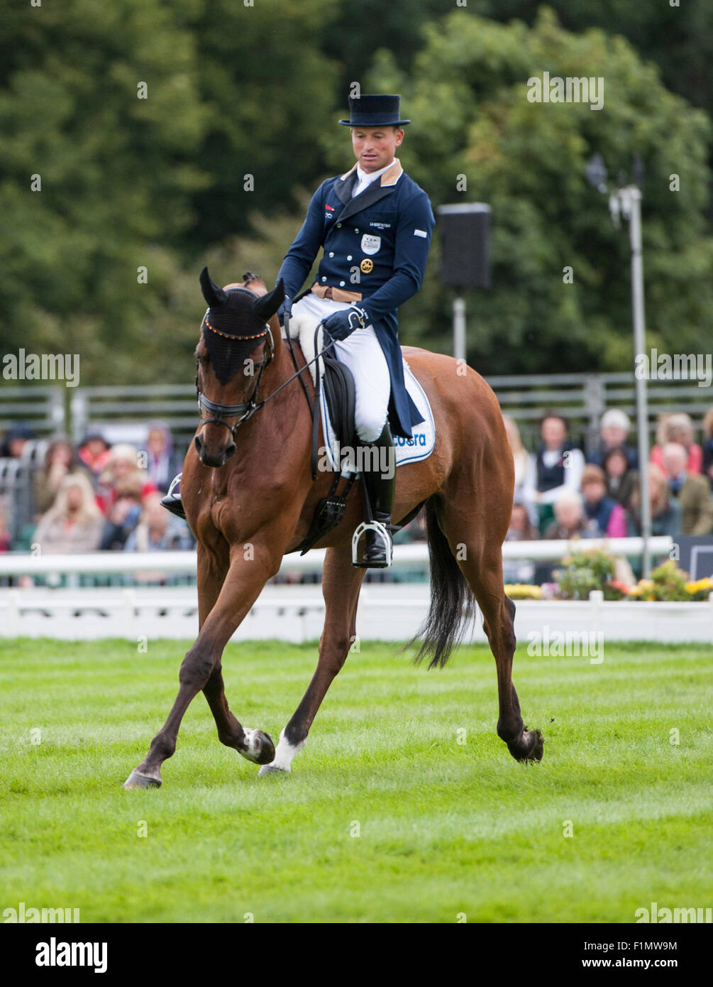 Stamford, Lincs, UK. 4. September, phase 2015.Michael Jung (GER) und La Biosthetique - Sam FBW [#85] während der Dressur am zweiten Tag des Wettbewerbs.  Der Land Rover Burghley Horse Trials 2015 Credit: Stephen Bartholomäus/Alamy Live-Nachrichten Stockfoto