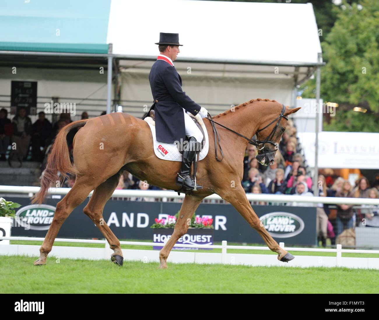Stamford, UK. 4. September 2015. Land Rover Burghley Horse Trials 2015, Stamford England. Oliver Townend (GBR) RidingÊArmada in der Dressur-Phase Credit: Julie Priestley/Alamy Live News Stockfoto