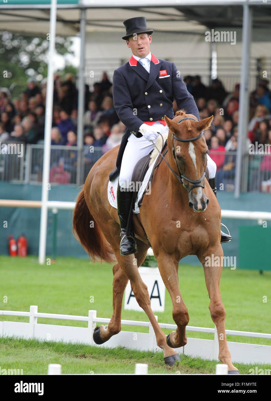 Stamford, UK. 4. September 2015. Land Rover Burghley Horse Trials 2015, Stamford England. Oliver Townend (GBR) RidingÊArmada in der Dressur-Phase Credit: Julie Priestley/Alamy Live News Stockfoto