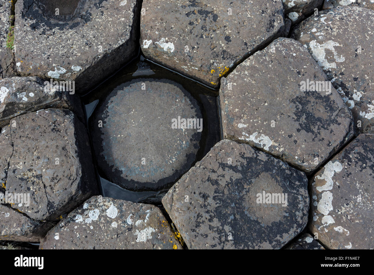 Erodiert Basaltsäulen am Giant's Causeway, County Antrim, Nordirland Stockfoto