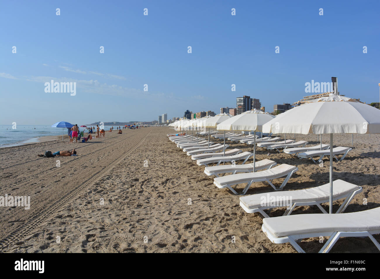 Am frühen Morgen Blick entlang der Strand von San Juan Playa in Richtung der Stadt Alicante, mit Touristen, Sonnenliegen und Sonnenschirmen. Stockfoto