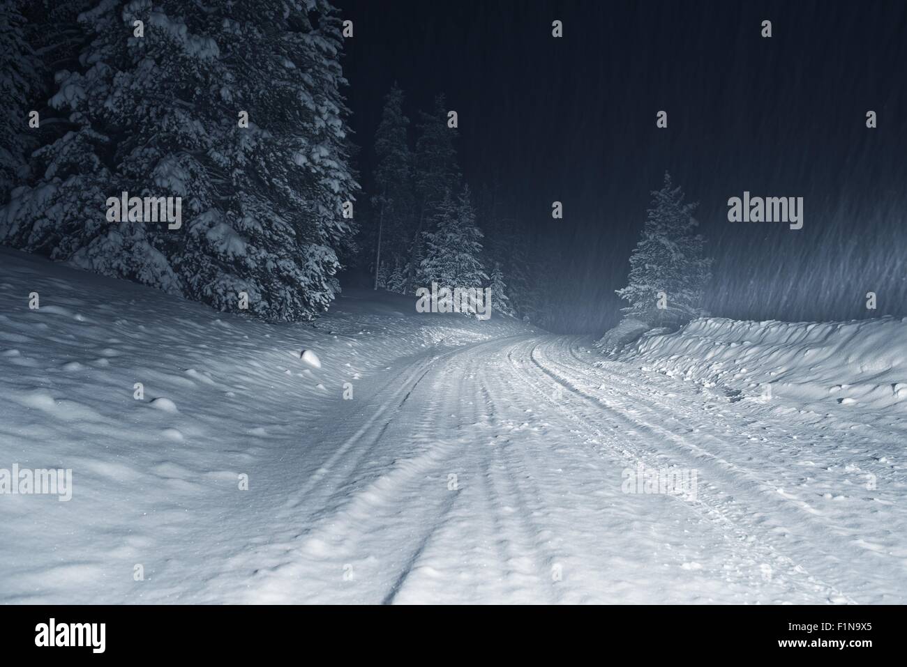 Colorado Winter Sturm in der Nacht. Landstraße mit schweren Schnee bedeckt. Stockfoto