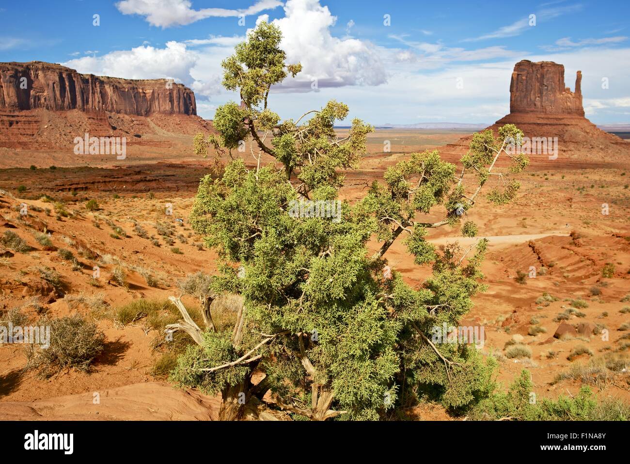 Arizona-Zustand in den Vereinigten Staaten. Scenic Valley in Arizona Denkmäler Landschaft. Stockfoto