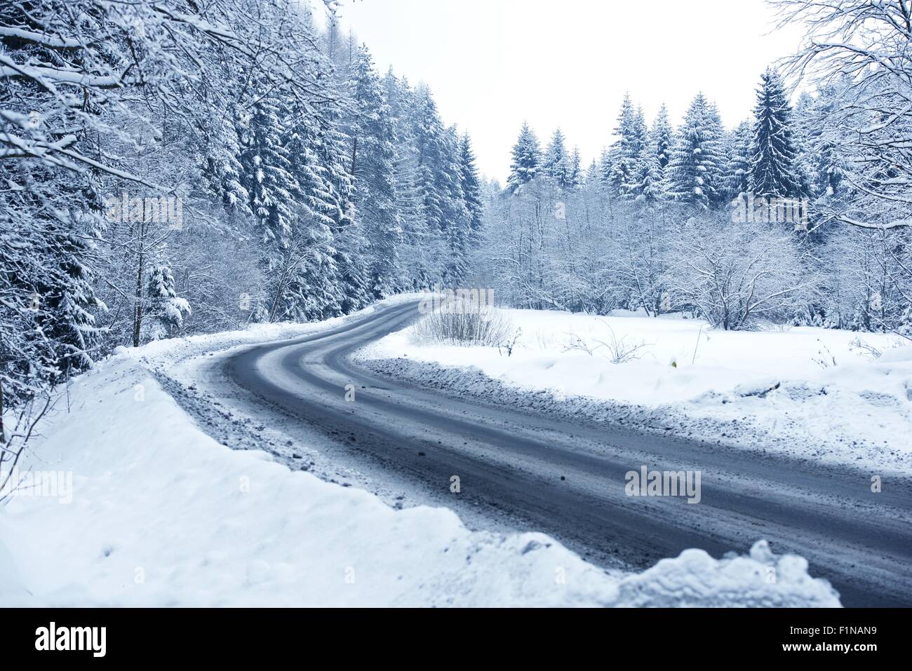 Winter-Waldweg - Bergstraße mit Schnee bedeckt. Winter-Thema. Winter-Fotosammlung. Stockfoto