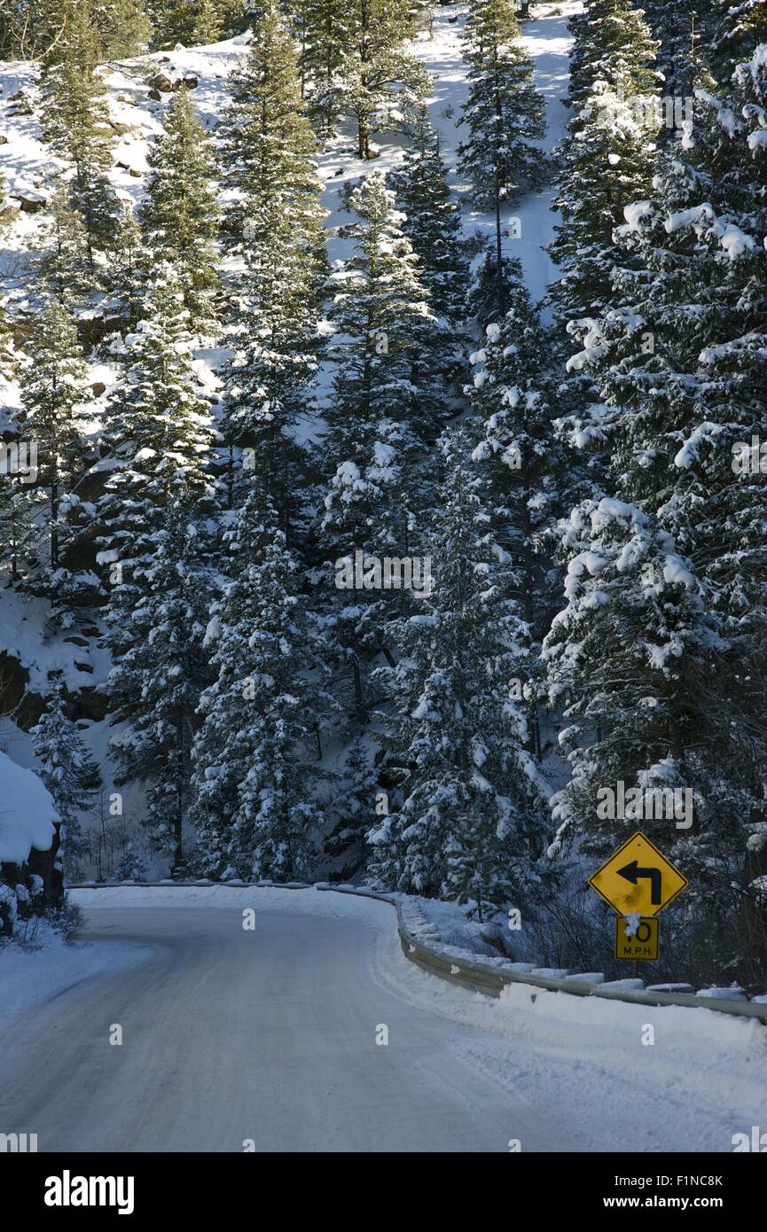 Winter-Bergstraße mit frischem Schnee bedeckt. Colorado Landschaft, USA. Vertikale Winter-Thema. Stockfoto