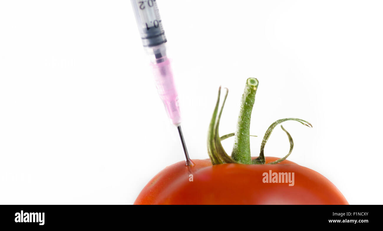 Gentechnisch veränderter Organismus Nahrung Konzept Bild. Nadel Spritze injiziert in Tomate Stockfoto