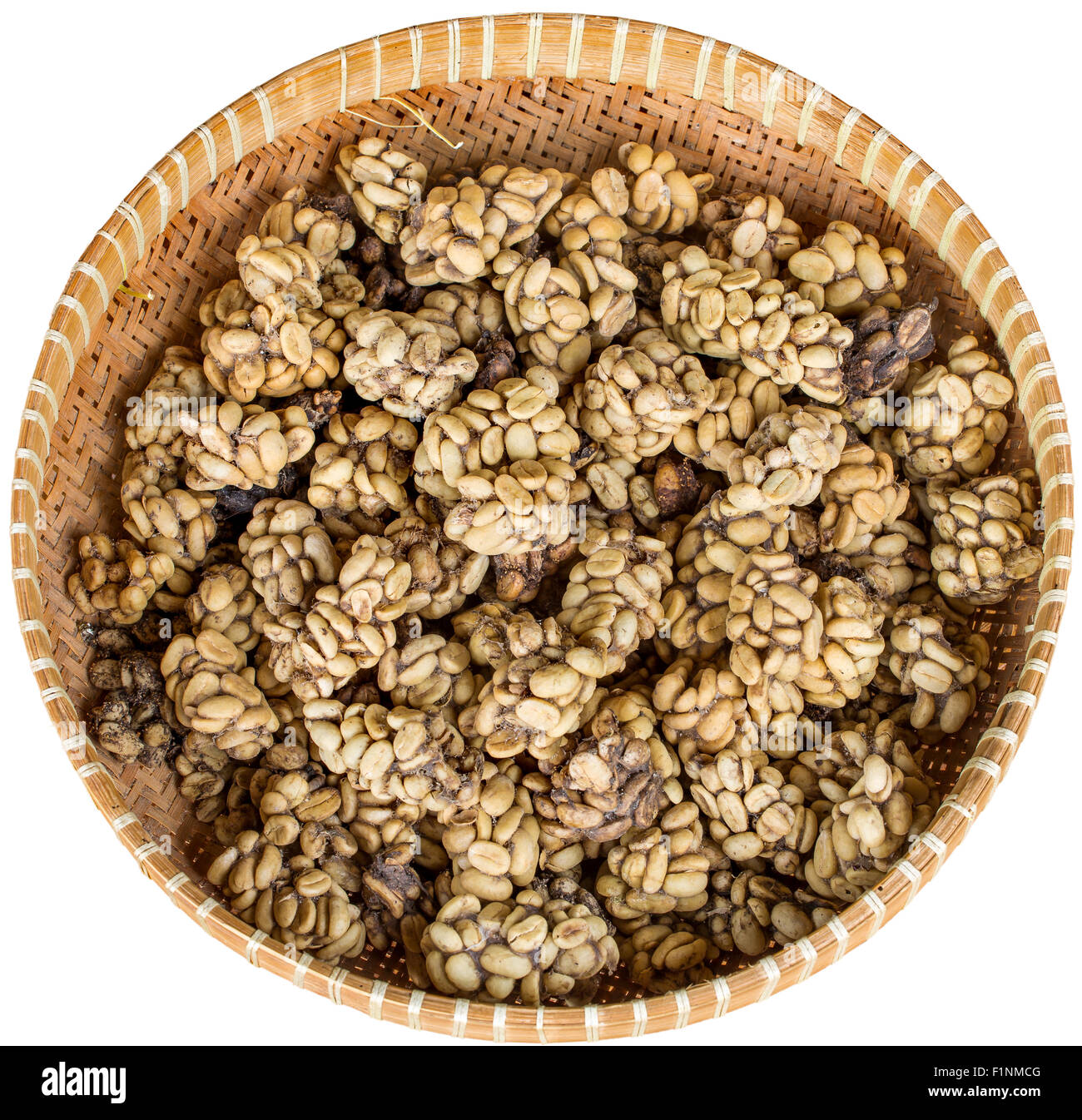 Ttray der Zibetkatze Poo mit verdaut Kaffeebohnen isoliert auf weiss. Einmal geröstet, die Kaffee - bekannt als Kopi Luwak - Fetc Stockfoto