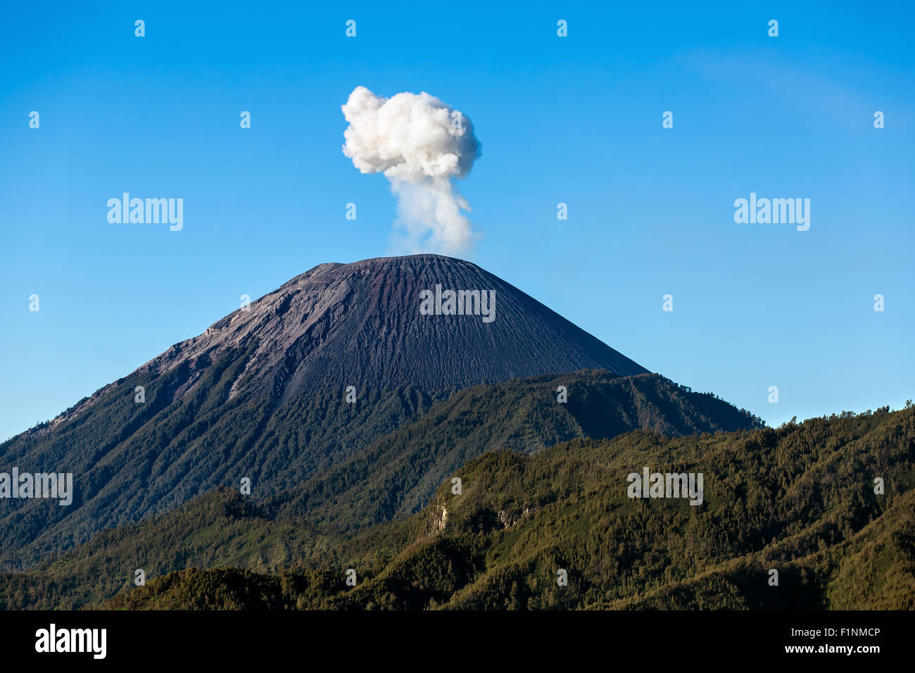 Aschewolke steigt am Semeru Vulkan Berg, Ost-Java, Indonesien Stockfoto