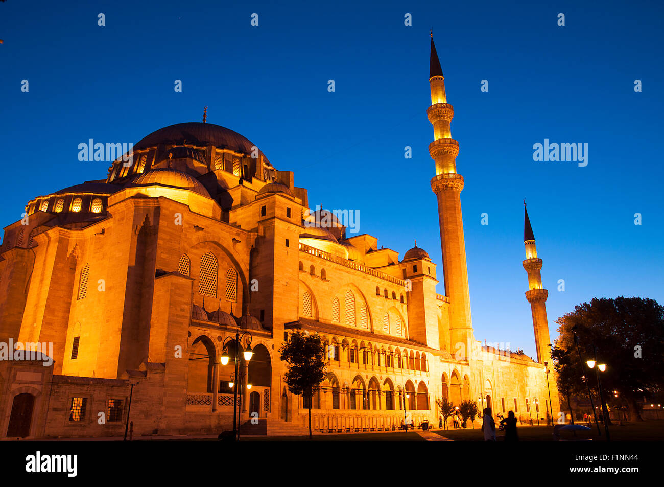 Süleymaniye-Moschee bei Nacht-Blick vom Garten der Moschee Stockfoto