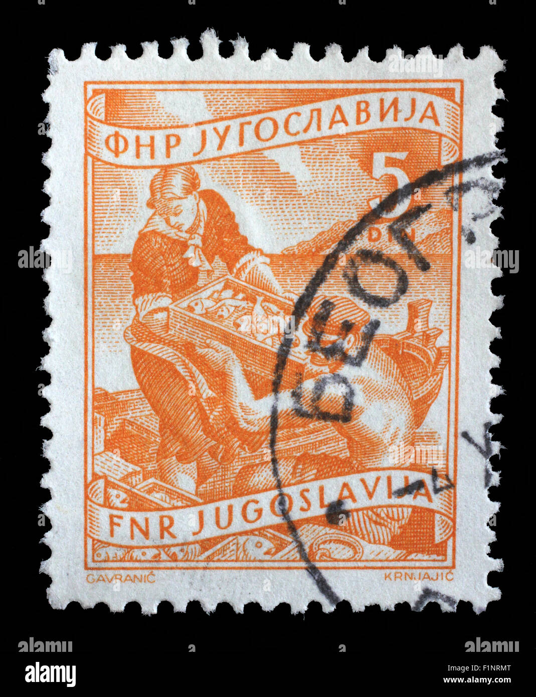 Briefmarke gedruckt in Jugoslawien zeigt, wie Frau Fischer Fische, Binnenwirtschaft Serie, ca. 1952 entladen hilft Stockfoto