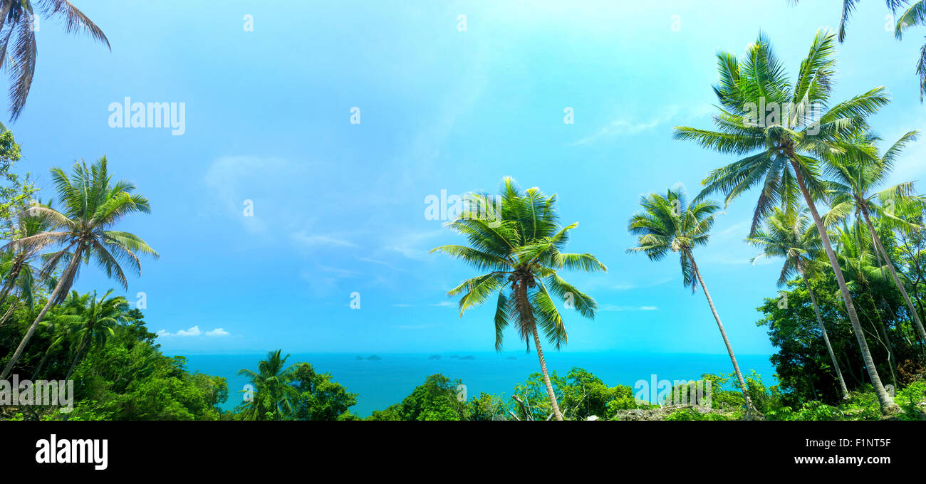 Tropischen Hintergrund Stockfoto