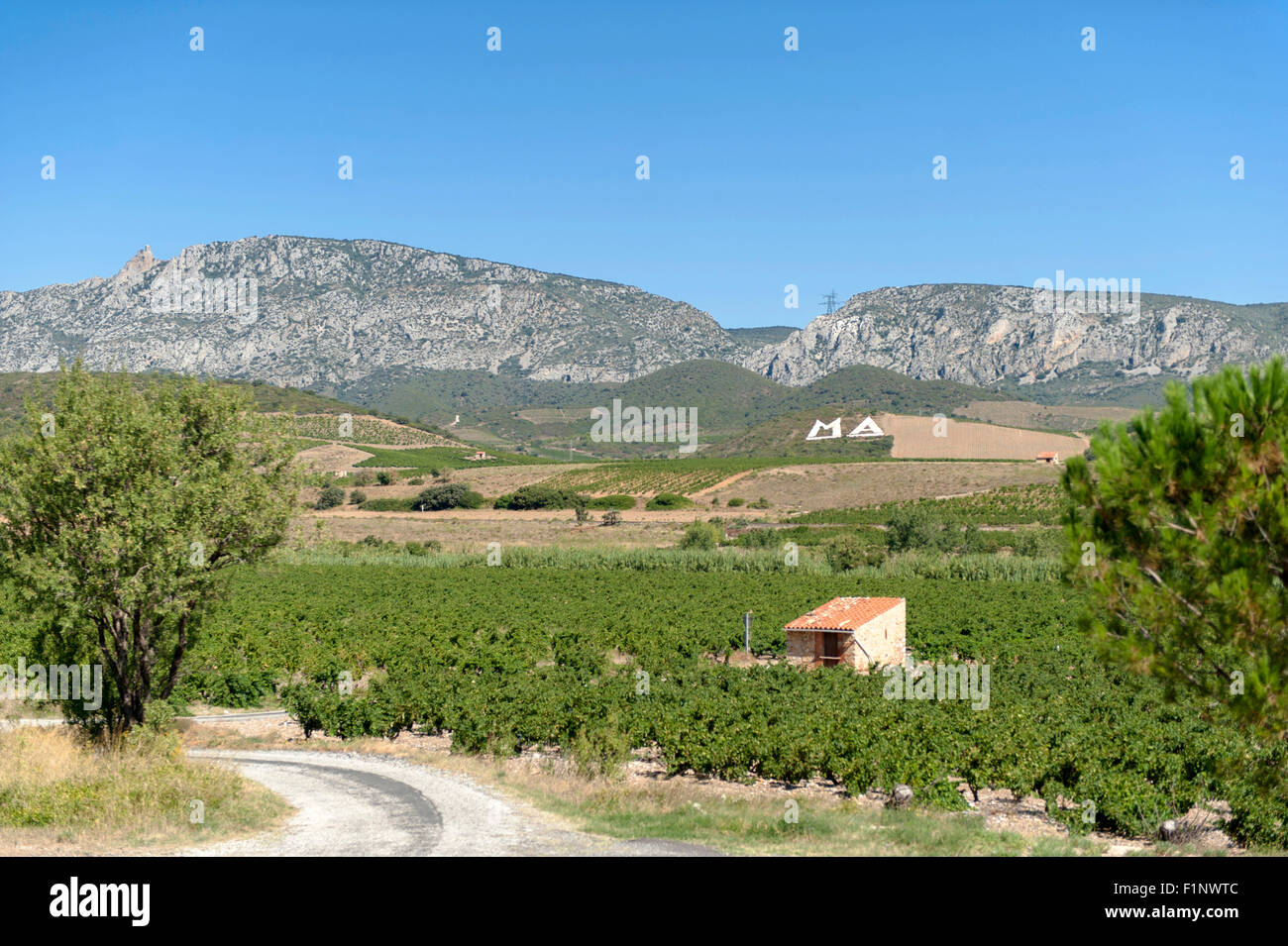 Landstraße windet, Mas Amiel, einem legendären Maury Keller in dem Agly Tal, Côtes du Roussillon, Südfrankreich Stockfoto