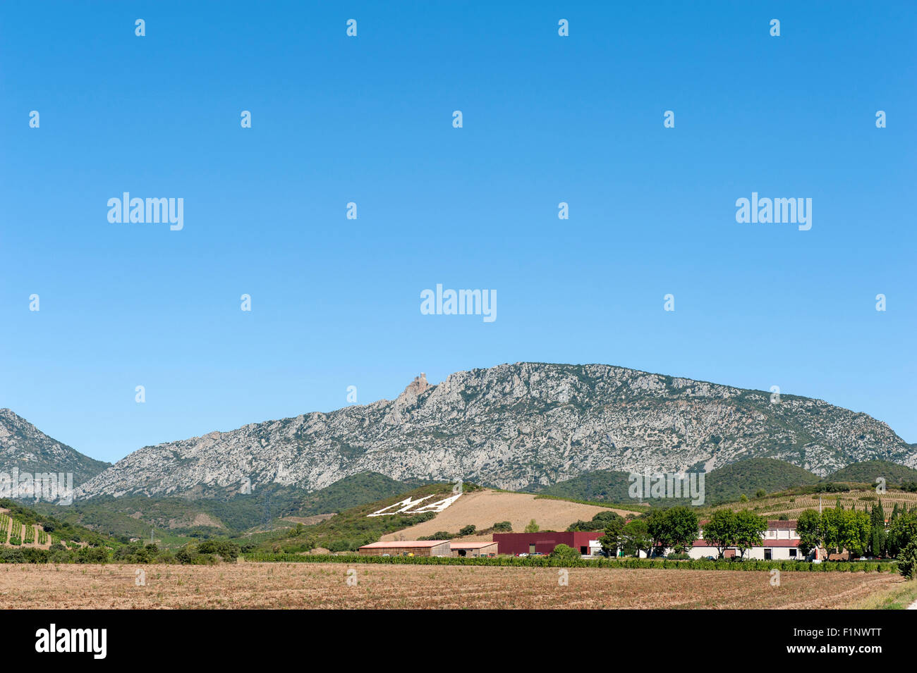 Mas Amiel, die größte Weinbau-Eigenschaft des Maury in der Agly Tal des Pyrénées-Orientales Stockfoto