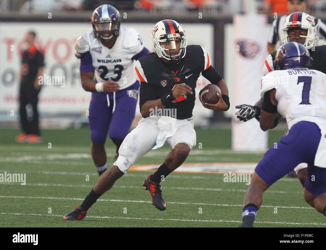 Orchesterprobe Stadion, Corvallis, OR, USA. 4. Sep, 2015. Oregon State Quarterback Seth Collins (4) läuft der Ball in der NCAA Football-Spiel zwischen der Biber und der Weber State Wildcats Orchesterprobe Stadium, Corvallis, OR, USA. Larry C. Lawson/CSM/Alamy Live-Nachrichten Stockfoto