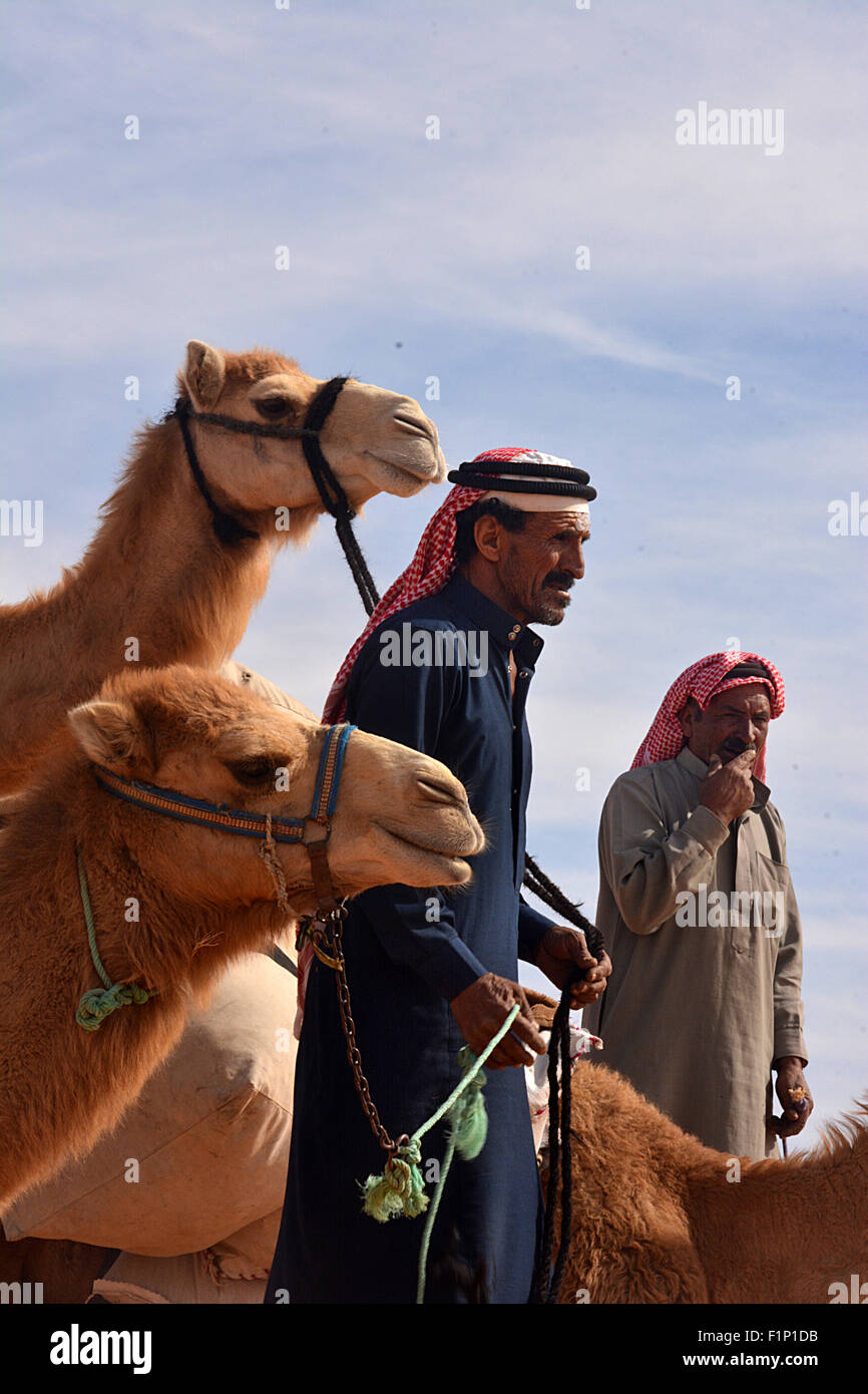 Beduinen Männer und Kamele, Jordanien Stockfoto