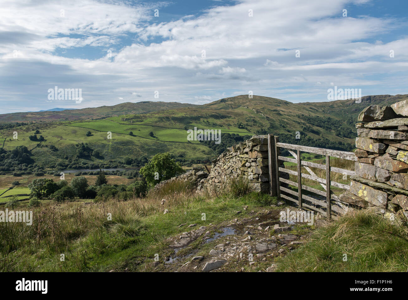 Blick über Kentmere her grün sank Stockfoto