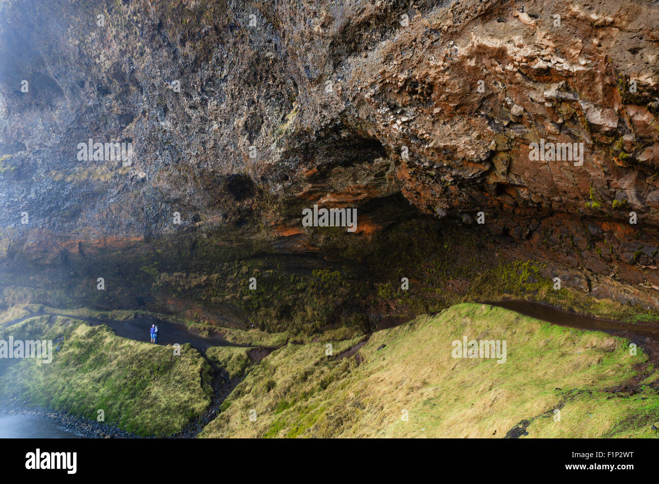 Touristen am Skogafoss Wasserfall. Island. Stockfoto