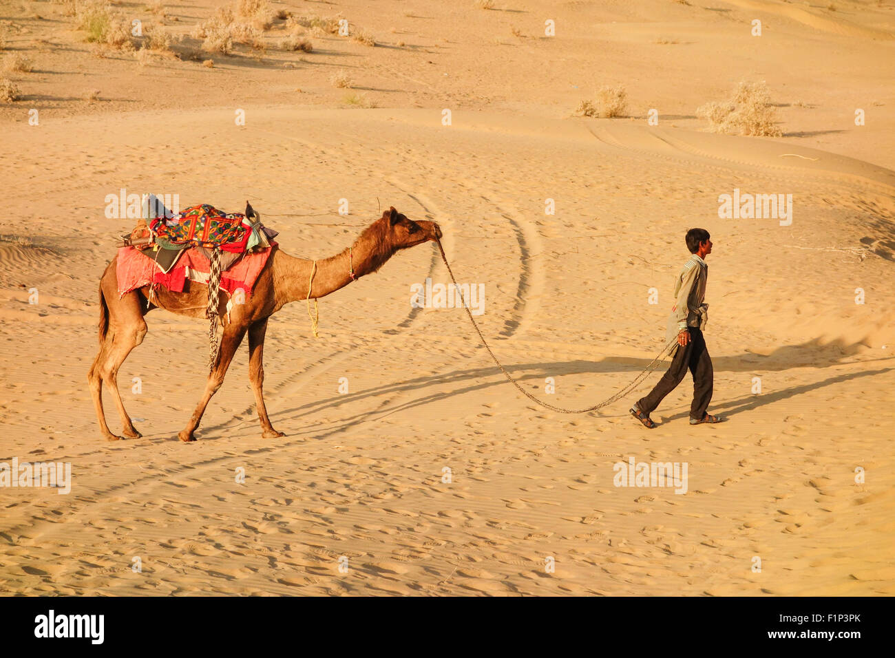 Rajasthani Mann mit Kamel in der Wüste, die Kunden für die Camel Safari in khuri, Jaisalmer, Rajasthan, Indien Stockfoto