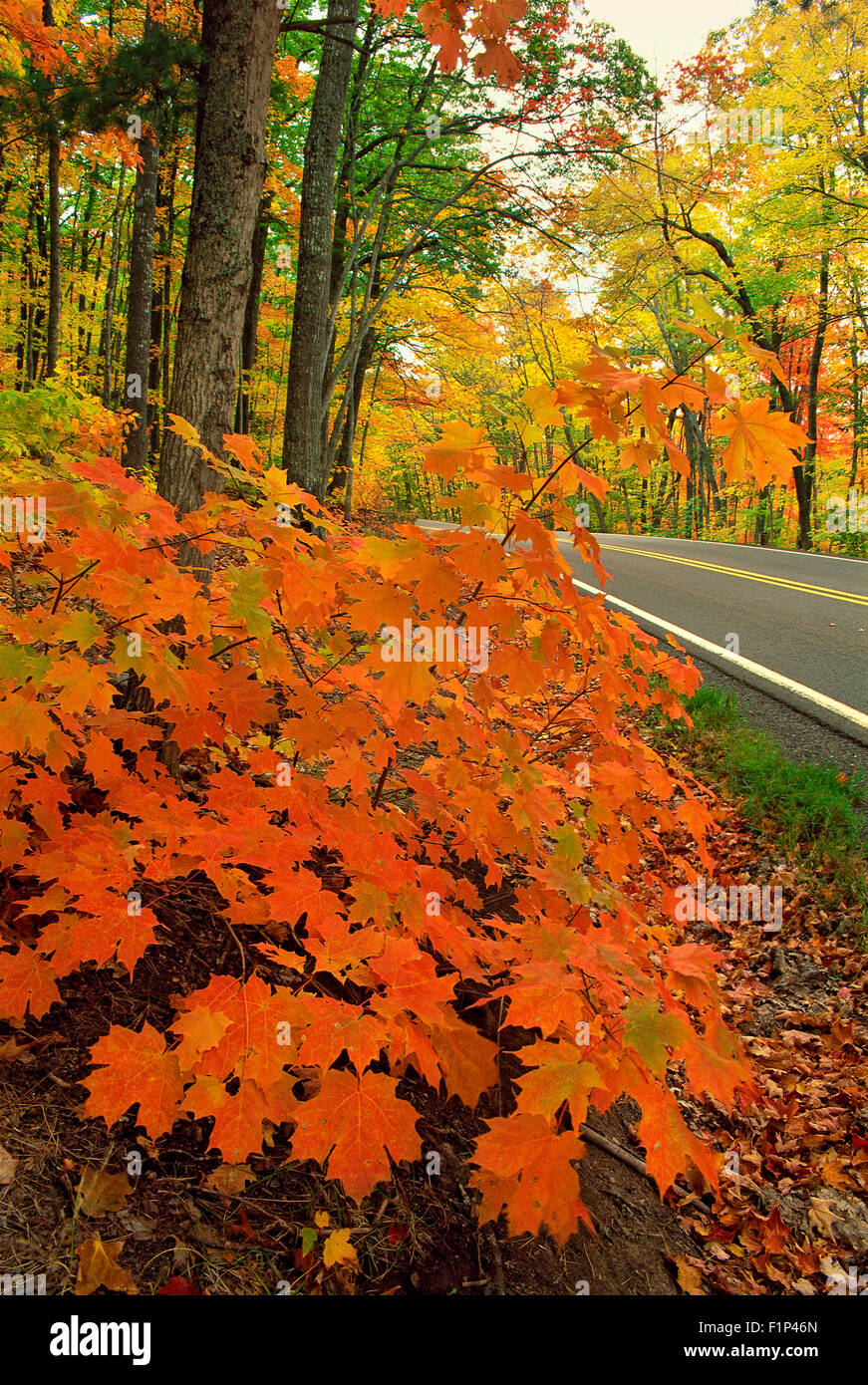 Straße in Keweenaw-Halbinsel, Michigan, USA Stockfoto