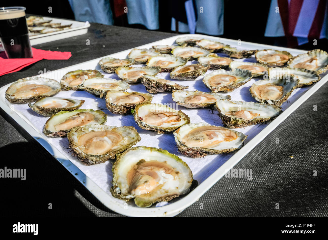 Ein Fach von 30 Austern, bevor eine Auster essen Wettbewerb, in dem die Wettbewerber haben, um zu sehen, wie viele Sie in einer Minute essen kann. Stockfoto