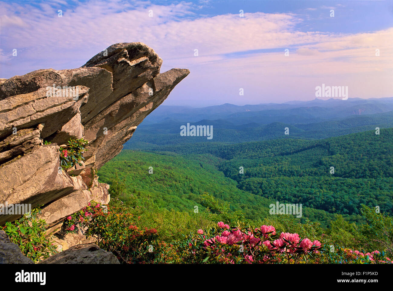 Felsvorsprung, Rough Ridge, Hostals Trail, Blue Ridge Parkway, North Carolina, USA Stockfoto