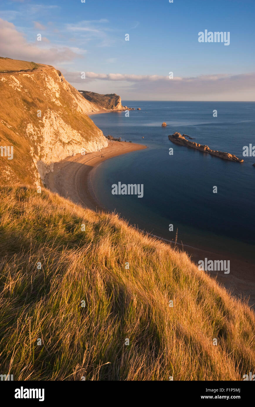 Man O' War Bay in St. Oswald Bucht neben Durdle Door in der Nähe von Lulworth auf Dorset Jurassic Coast, England, UK Stockfoto