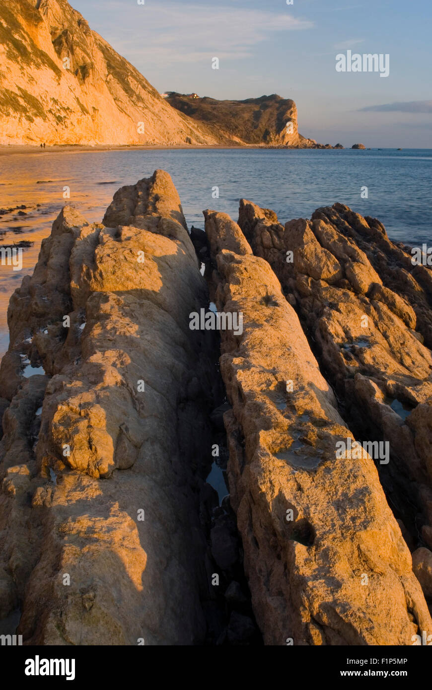 Man O' War Bay in St. Oswald Bucht neben Durdle Door in der Nähe von Lulworth auf Dorset Jurassic Coast, England, UK Stockfoto