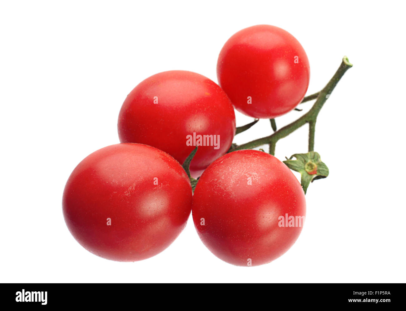 Tomaten-Gemüse-Closeup isoliert auf weißem Hintergrund Stockfoto