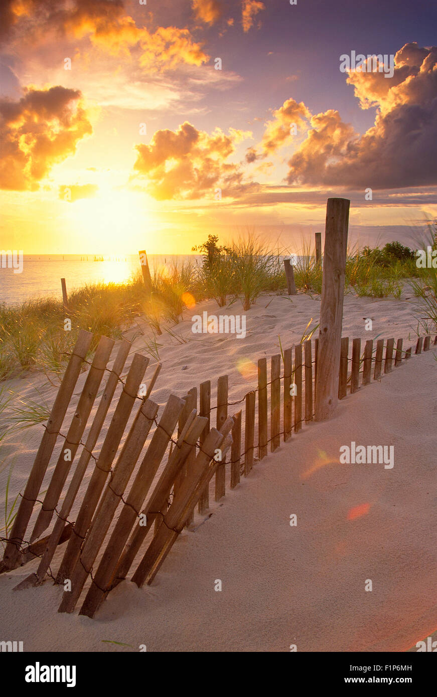 Südlich von Kiptopeke State Park, Cape Charles, Virginia, USA Stockfoto