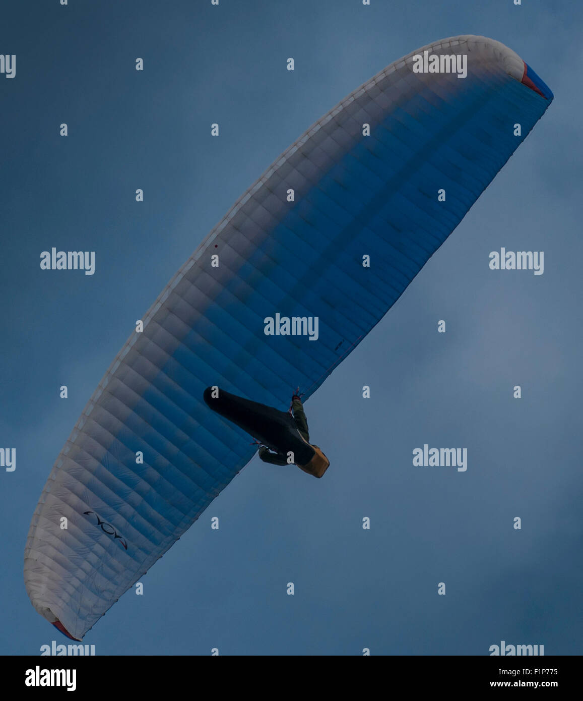 Firle Beacon, East Sussex, Großbritannien. September 2015. Para & Hang Gliders nutzen den Nördlichen Wind in den South Downs. Helle Zaubersprüche zwischen den dunklen Wolken. Stockfoto