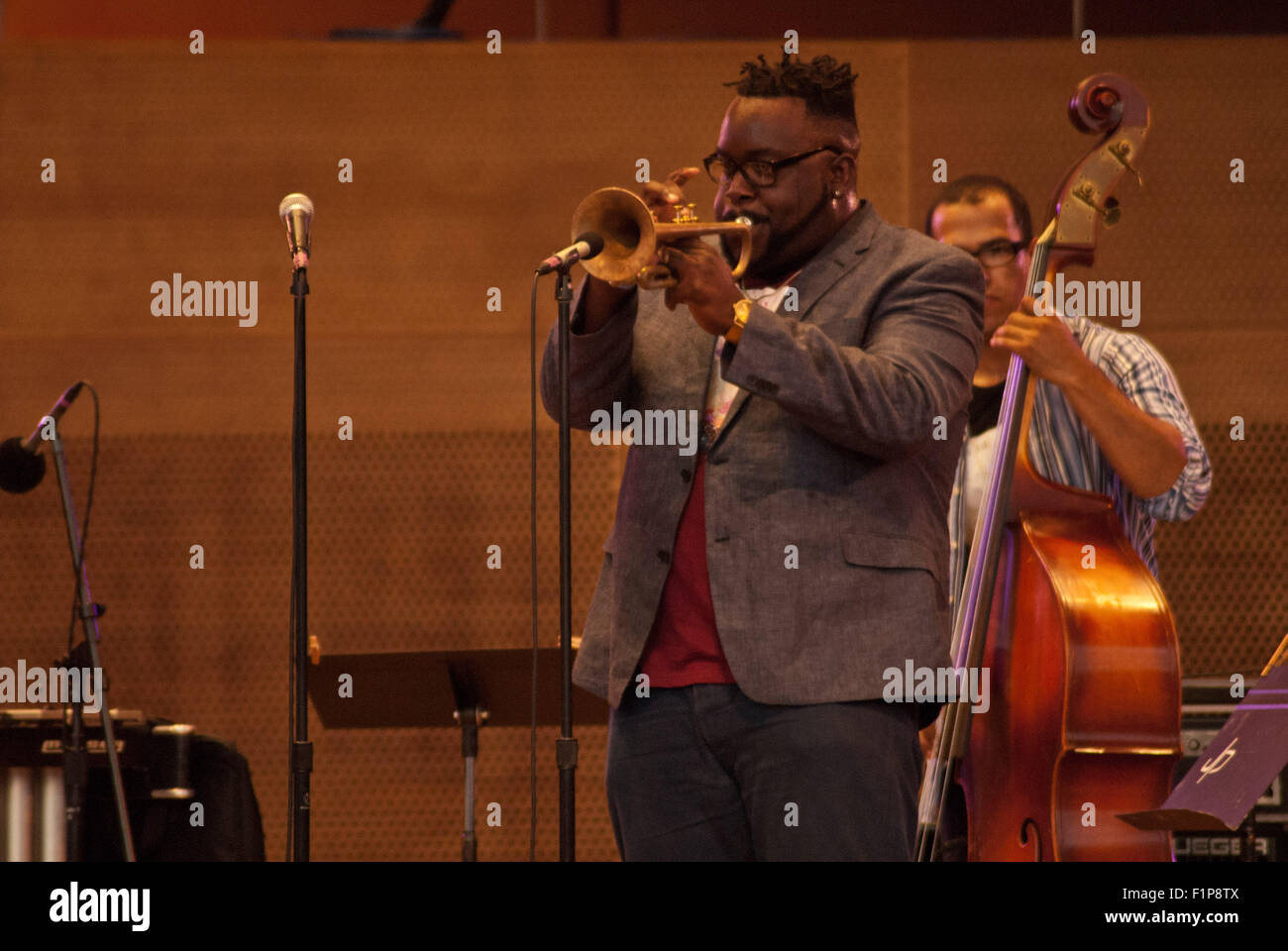 Chicago, Illinois, USA. 3. Sep 2015. Donnerstag, 3. September 2015 erstmals vier Tage des freien jazz-Konzerte im Millennium Park in Chicago. Konzerte finden statt in drei Bereichen des Parks befindet sich im Zentrum der Stadt. Die Abendvorstellungen statt in den Pritzker Pavillion, eine Open-Air-Veranstaltungsort mit einer State-of-the-Art-sound-System. Tausende versammeln sich im Pavillion, einige Jazzgrößen zu hören. © Karen I. Hirsch/ZUMA Draht/Alamy Live-Nachrichten Stockfoto