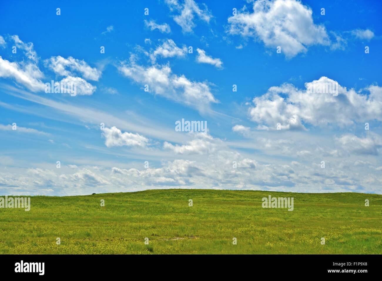 Green Acres - grünen Wiesen und Sommer blau bewölktem Himmel. Natur-Foto-Sammlung. Stockfoto