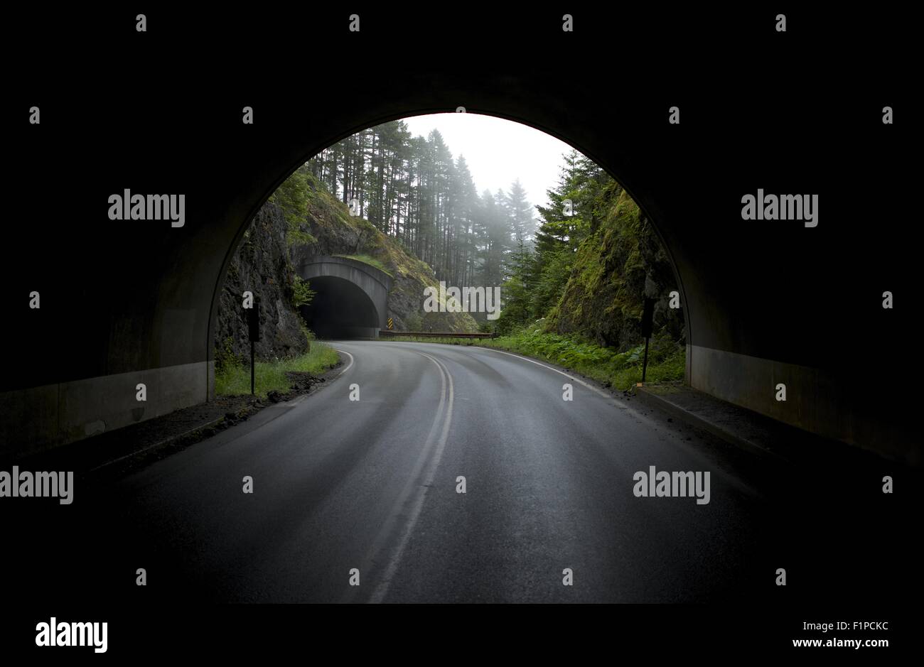 Berg-Tunnel. Blick vom Tunnel auf ein anderes Tunneleingang. Asphaltierte Bergstraße. Olympic Nationalpark, Washington State, USA Stockfoto