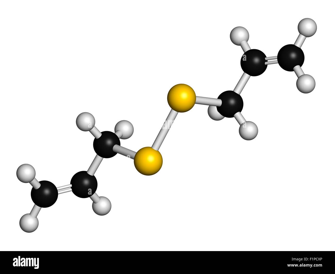 Diallyl Disulfid Knoblauch Molekül eine der Verbindungen verantwortlich für Geschmack, Geruch und Gesundheit Effekte des Knoblauchs sind Atome Stockfoto