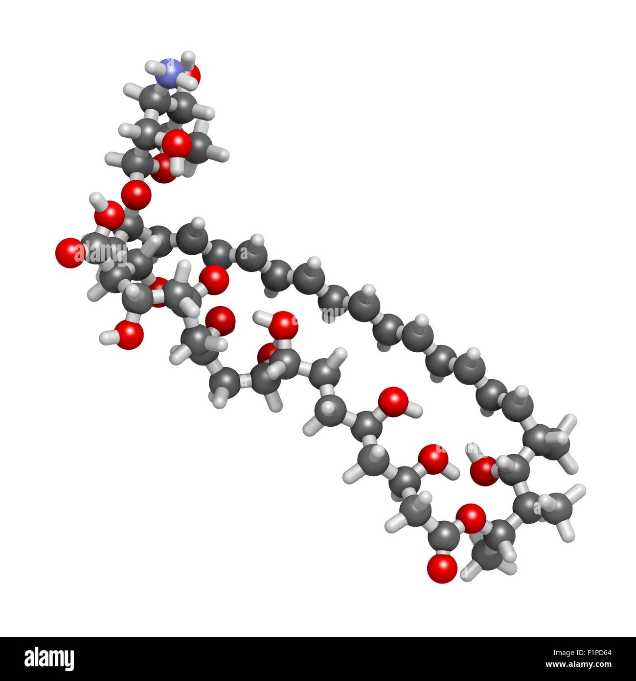 Amphotericin B antimykotische Wirkstoffmolekül Atome werden als Kugeln mit konventionellen Farbkodierung dargestellt: Wasserstoff (weiß) Stockfoto