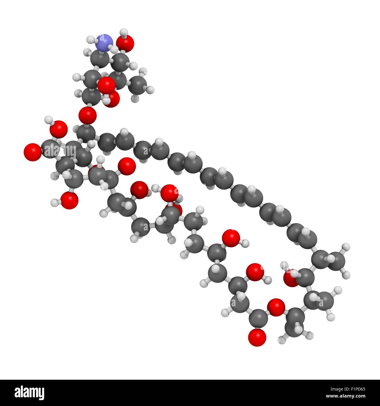 Amphotericin B antimykotische Wirkstoffmolekül Atome werden als Kugeln mit konventionellen Farbkodierung dargestellt: Wasserstoff (weiß) Stockfoto