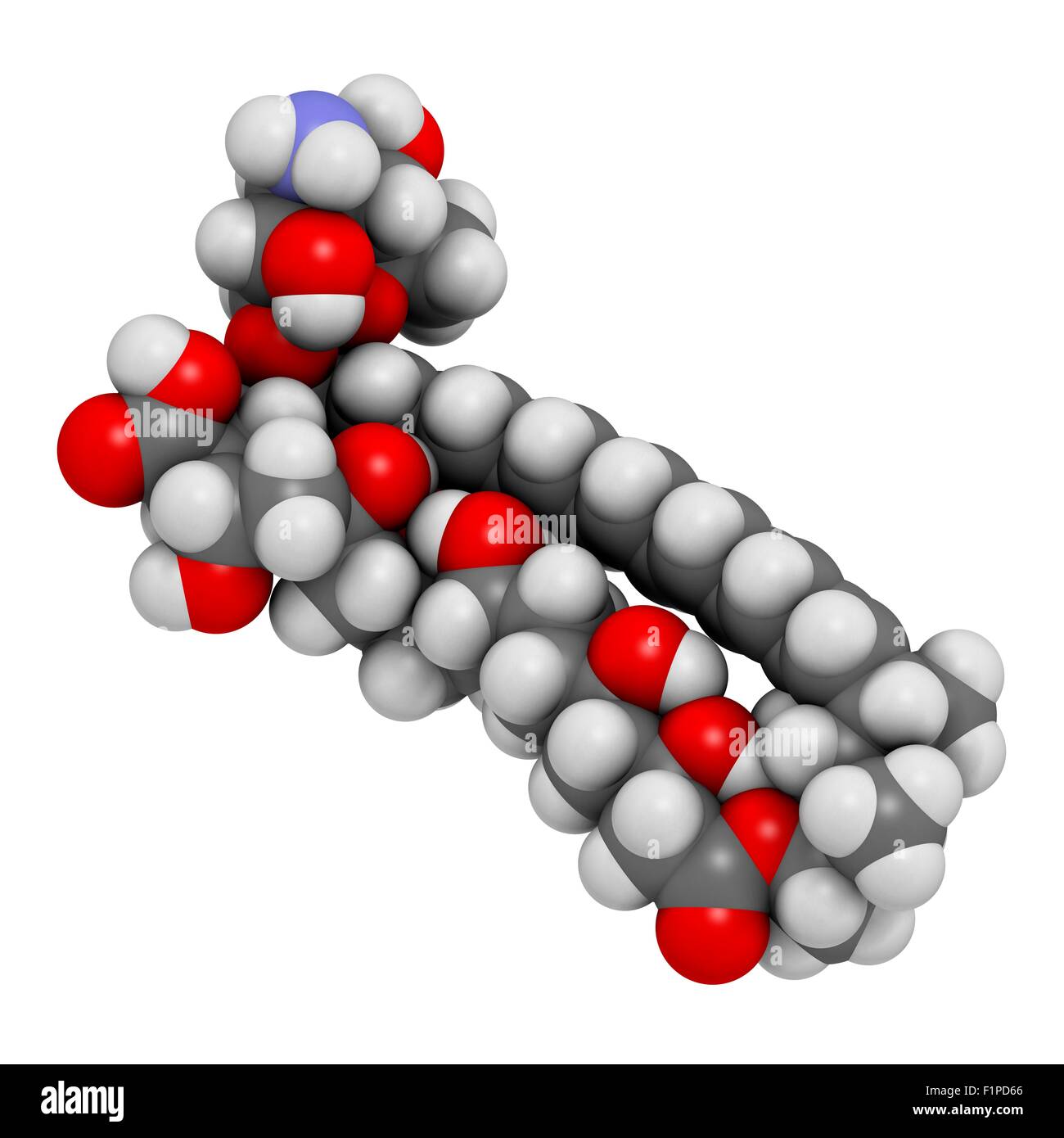 Amphotericin B antimykotische Wirkstoffmolekül Atome werden als Kugeln mit konventionellen Farbkodierung dargestellt: Wasserstoff (weiß) Stockfoto
