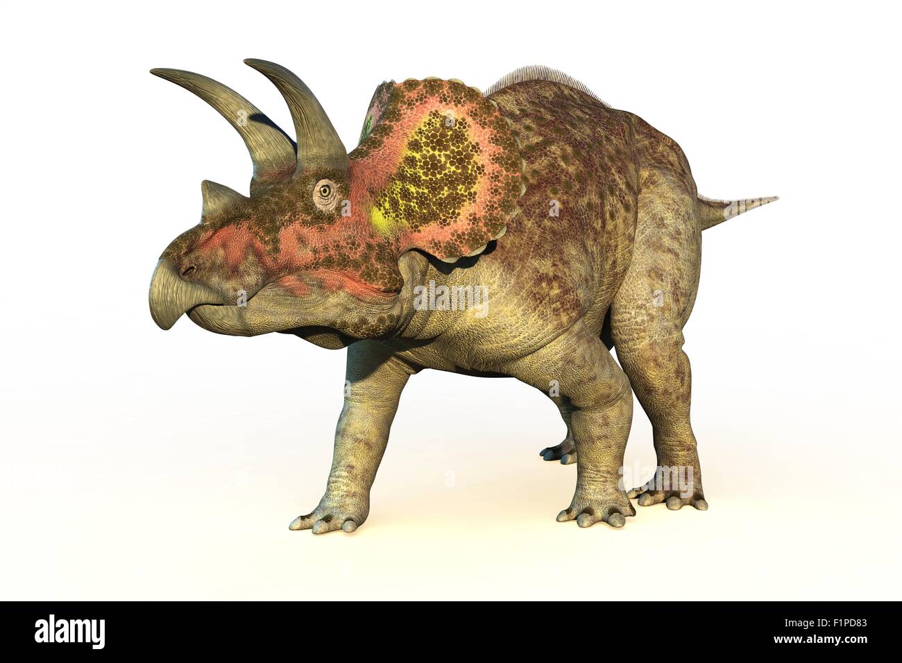 Triceratops Dinosaurier, Computer Bild. Stockfoto