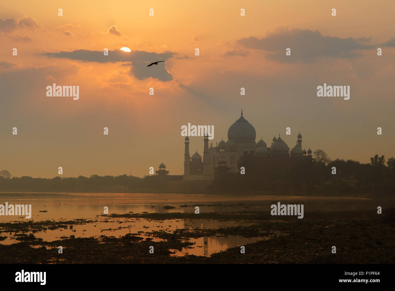 Ein Sonnenaufgang Blick des Taj Mahal in Agra, Indien. Stockfoto