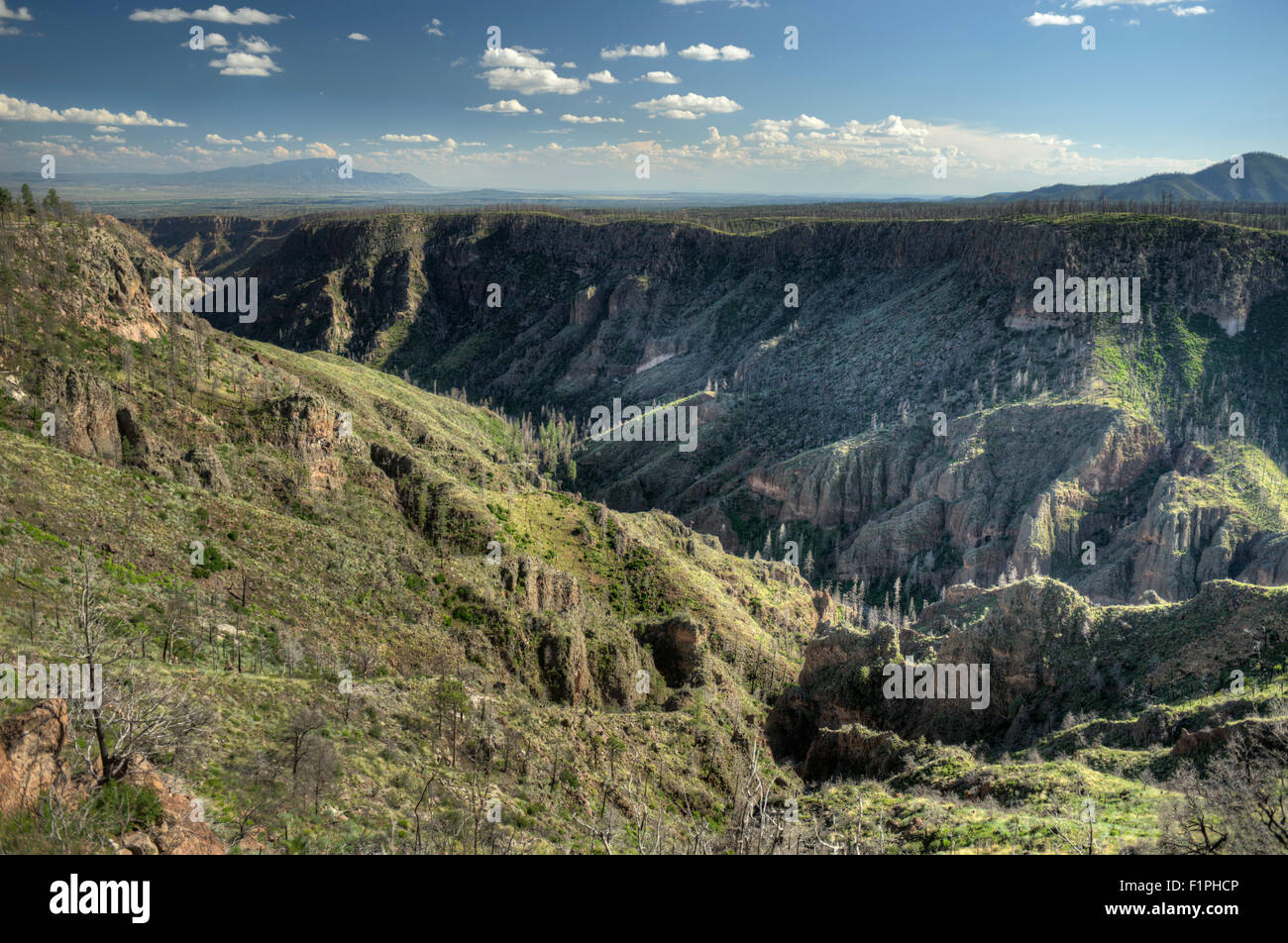 Cochiti Canyon, in den Jemez Bergen des nördlichen New Mexico Stockfoto