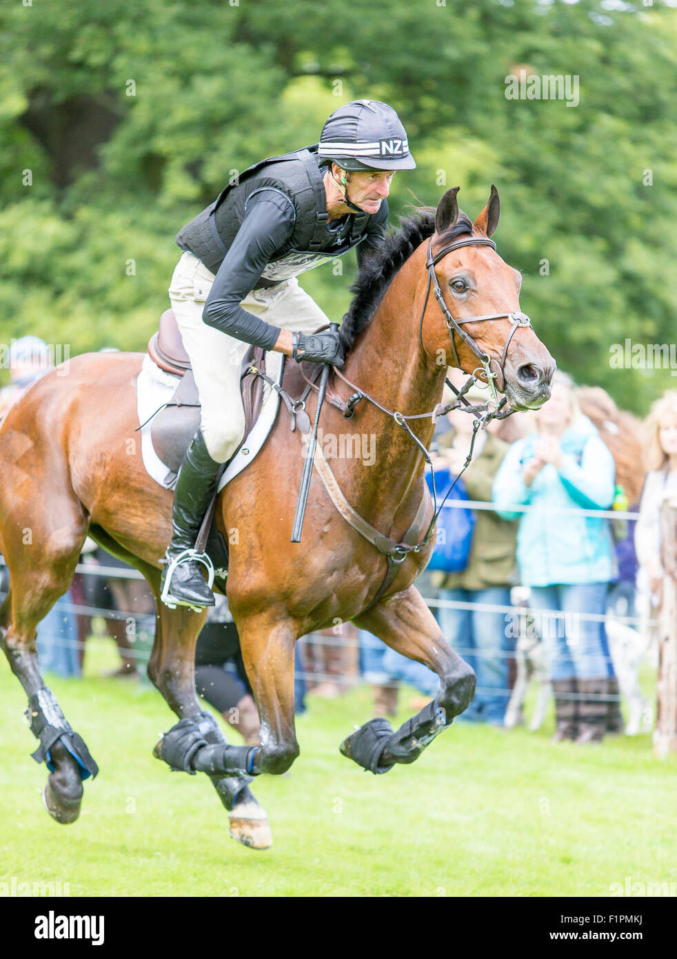Burghley, Stamford, Lincs, UK. 05. Sep, 2015. Land Rover Burghley Horse Trials. Mark Todd auf Leonidas Kredit: Action Plus Sport/Alamy Live News Stockfoto