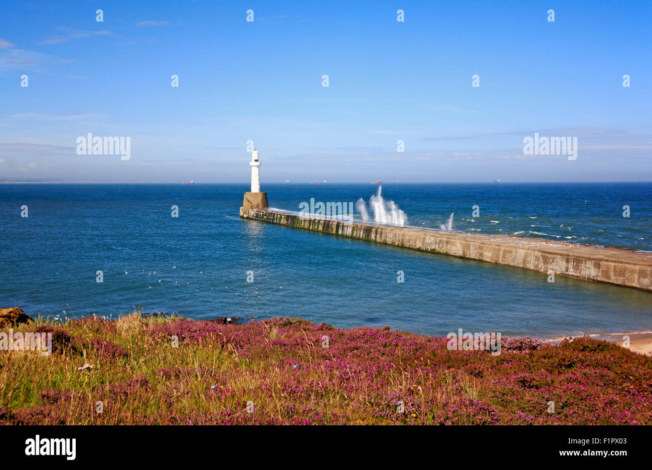 Ein Blick auf die südlichen Wellenbrecher am Eingang zum Hafen von Aberdeen, Schottland, Vereinigtes Königreich. Stockfoto