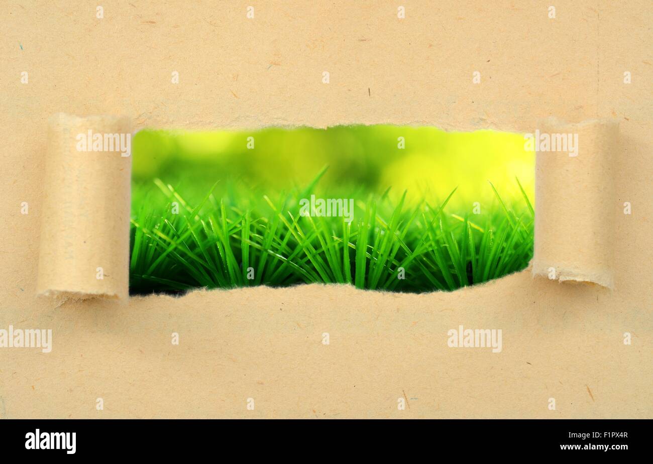 Nahaufnahme eines zerrissenes Papier-Rasen-Hintergrund Stockfoto
