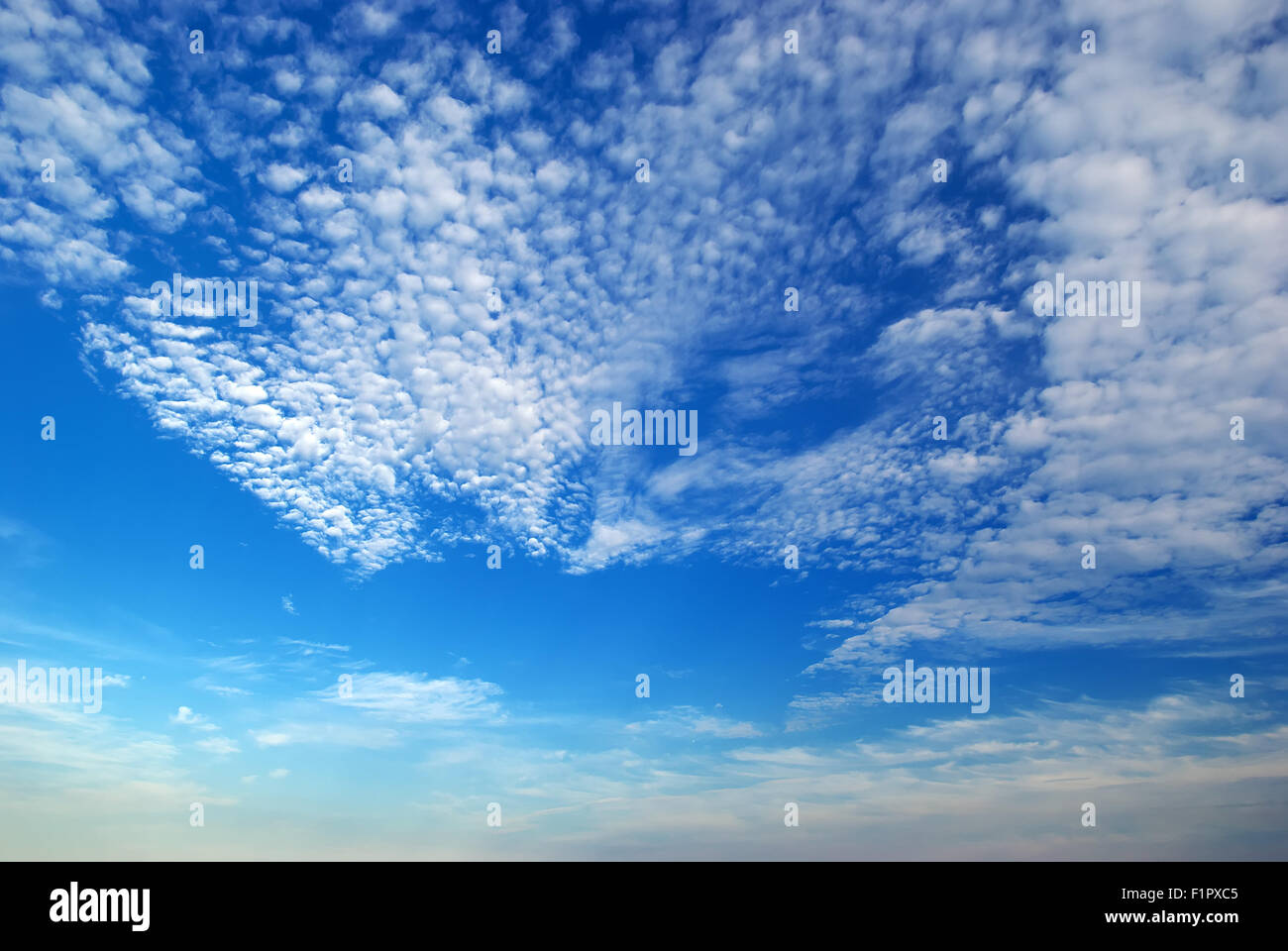 Deguisement Chanteru Kpop 23629 main image 1