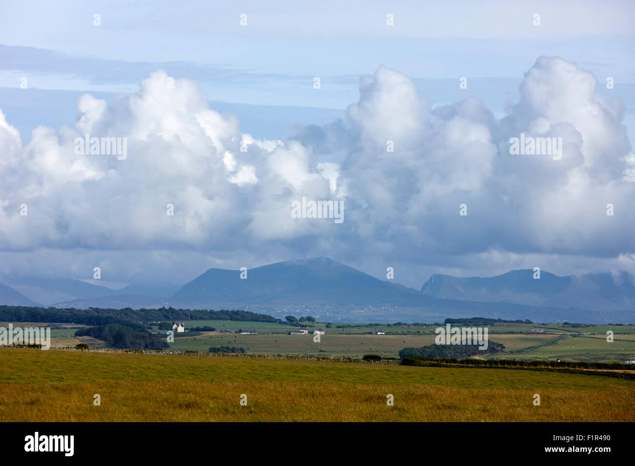 Öffnen Sie Ackerland Anglesey mit Blick auf Snowdon und North Wales Berge uk Stockfoto