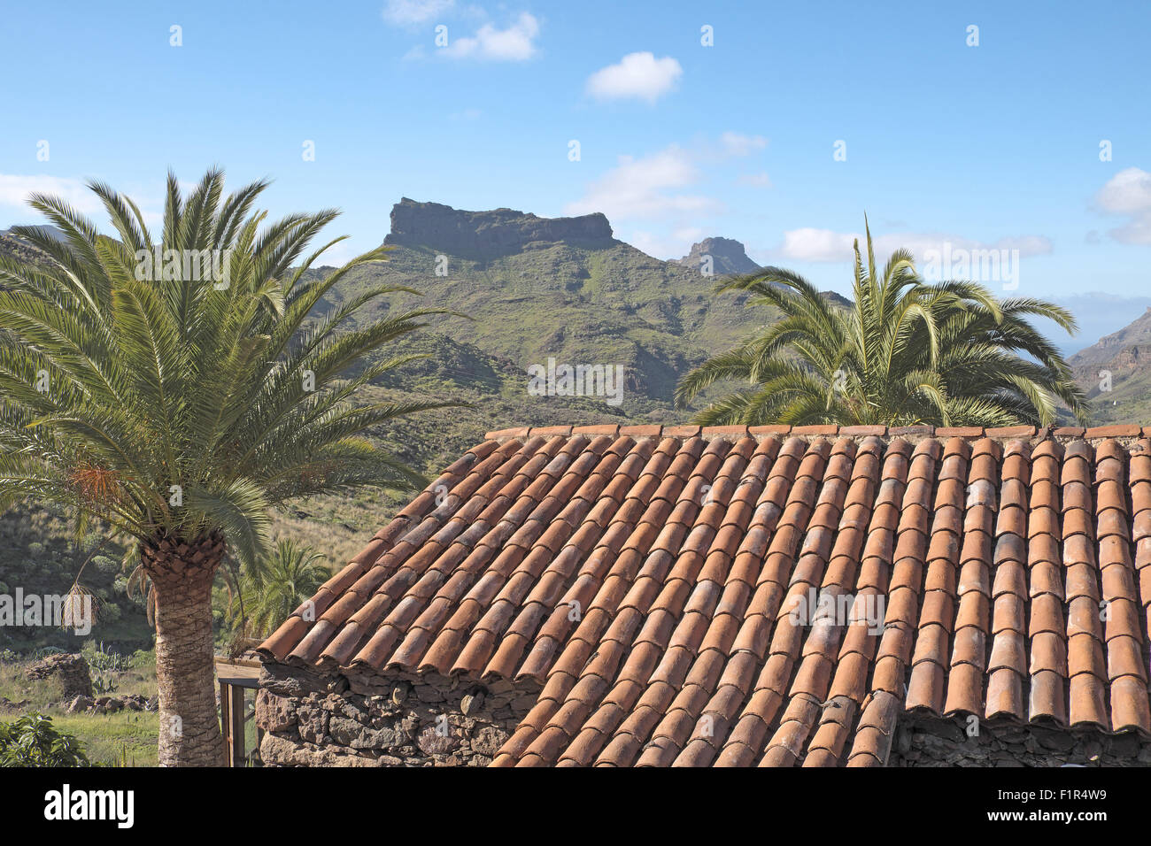 Große Echsen in der Pfanne Ziegeldach, mit bizarr geformten Berge, zentral, Gran Canaria, Kanarische Inseln, Spanien. Stockfoto