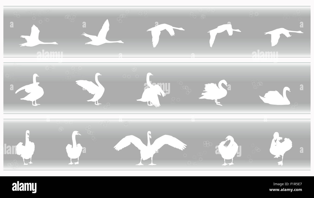 Swan-Banner-Set Stockfoto